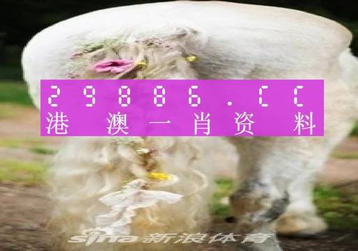 澳门一肖一码100精准2023_精选作答解释落实_网页版v676.969