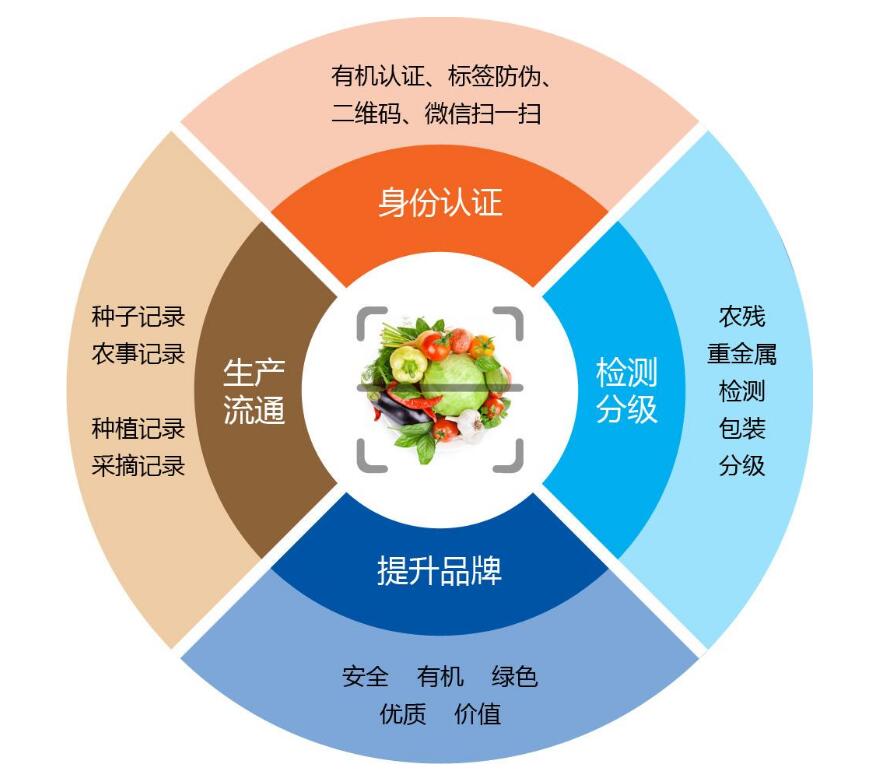 一码一肖100%准确功能佛山_精彩对决解析_主页版v083.126