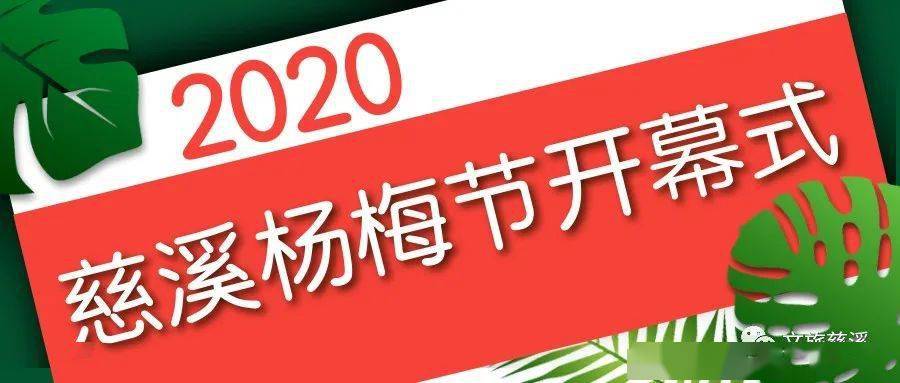 2024澳门特马今晚开什么_良心企业，值得支持_V16.50.75