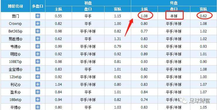 2024澳彩开奖记录查询表_精选作答解释落实_安装版v557.196