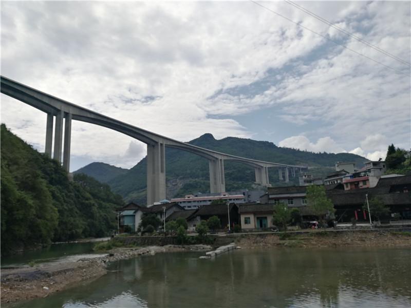 龙抬头广场舞的魅力与风采  龙抬头广场舞