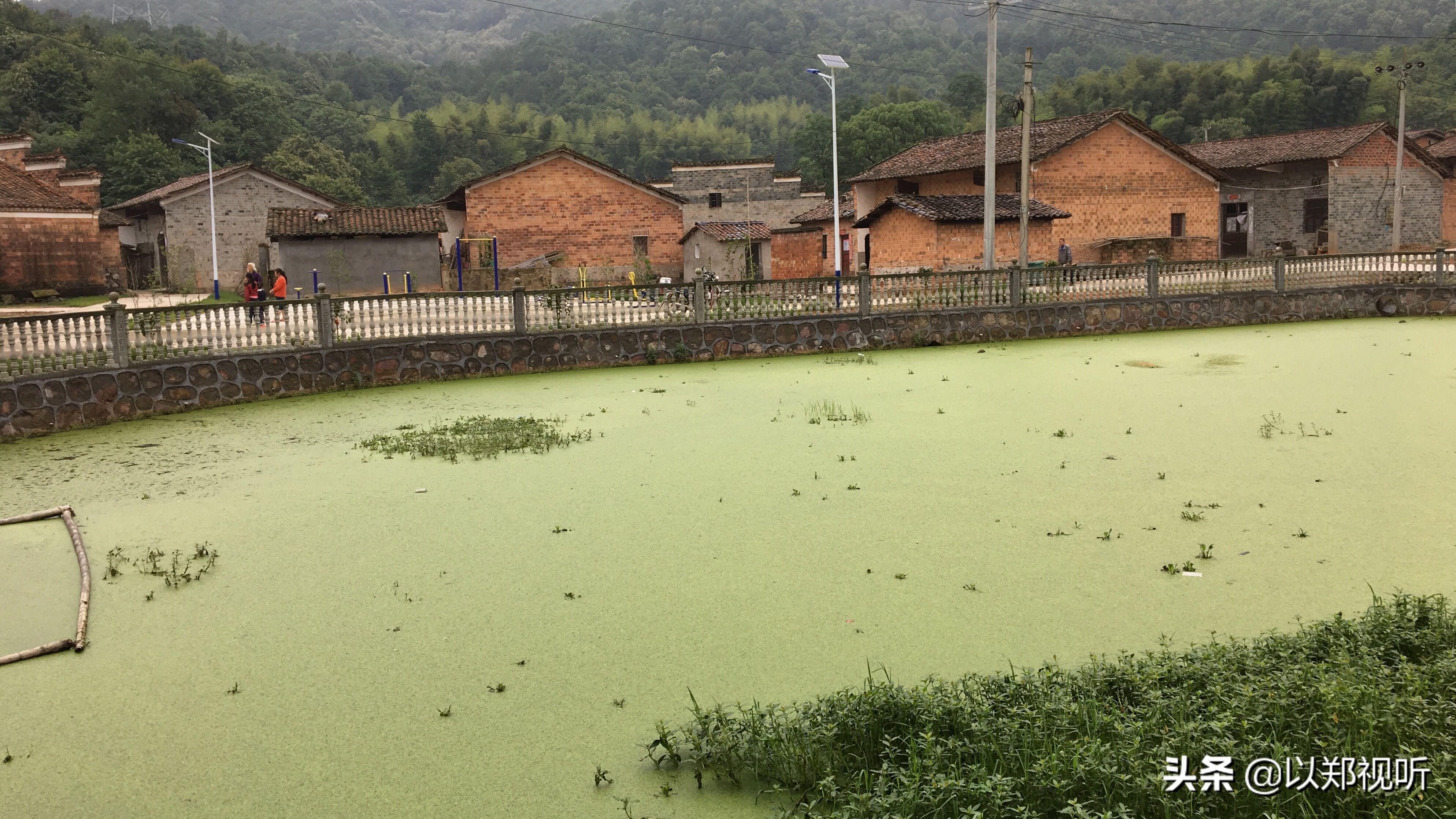 院子大门之谜，无门之院与风水学的微妙关系  院子没有安大门风水学