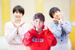 TFBOYS夹子音，青春的独特旋律  TFBOYS夹子音