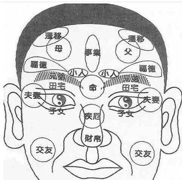 面相学视频，探索神秘的人体密码  面相学视频