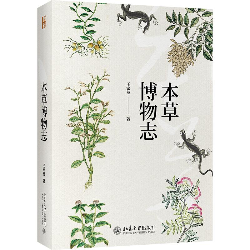 本草纲目舞蹈，传统与现代的艺术融合  本草纲目舞蹈