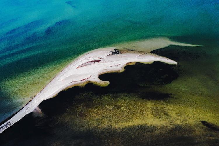 探索Shark恒——海洋生物的奥秘与力量  shark恒