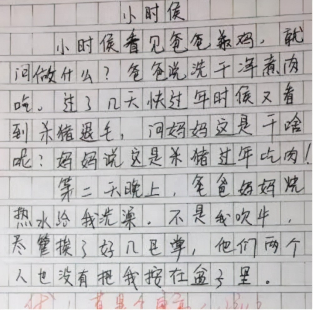 探索与发现，吃老师胸前的小兔子  吃老师胸前的小兔子500字作文