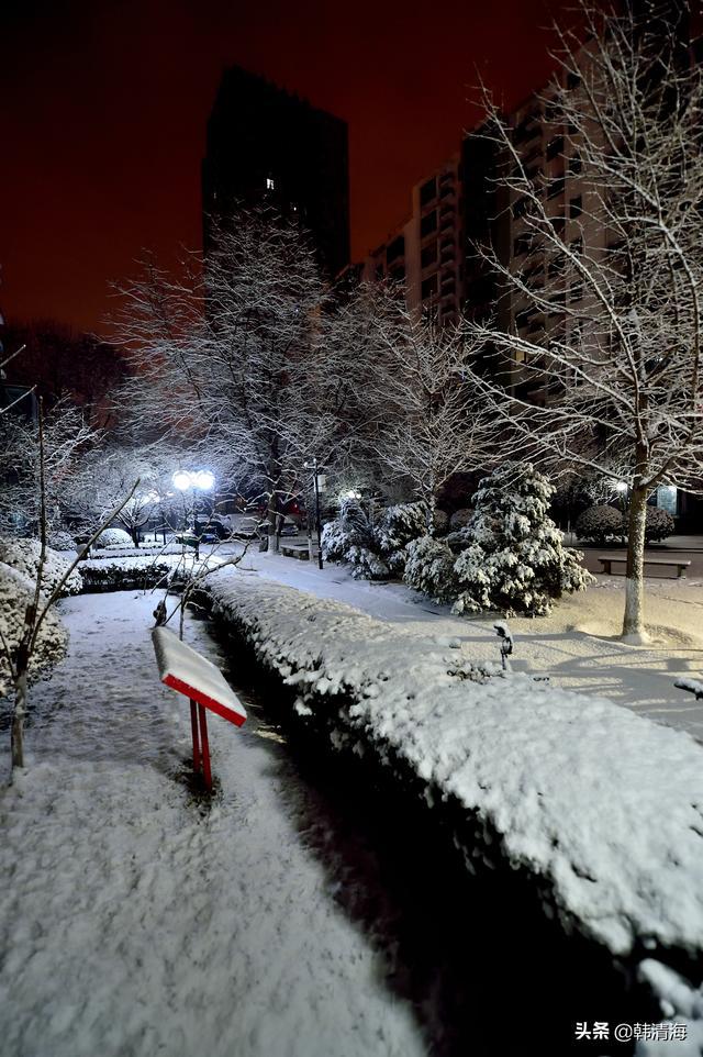 如何拍摄雪景——掌握这些技巧，让你的照片如诗如画  如何拍摄雪景