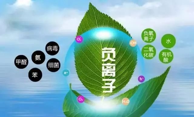 探索氧生活，呼吸与生活的紧密联系  氧生活